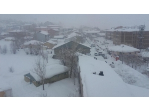 Bingöl’de Kar Yeniden Etkisini Göstermeye Başladı