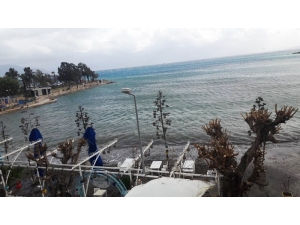 Denize Sızan Yakıt Tamamen Temizlendi