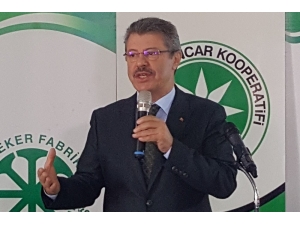 Şeker Pancarı Tarımında Kayseri Şeker’in Sürdürülebilir Tarım Uygulamaları İlgi Görüyor