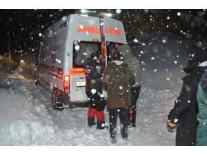 Tunceli’de Kar Ve Tipiye Yakalanan 301 Kişi Kurtarıldı