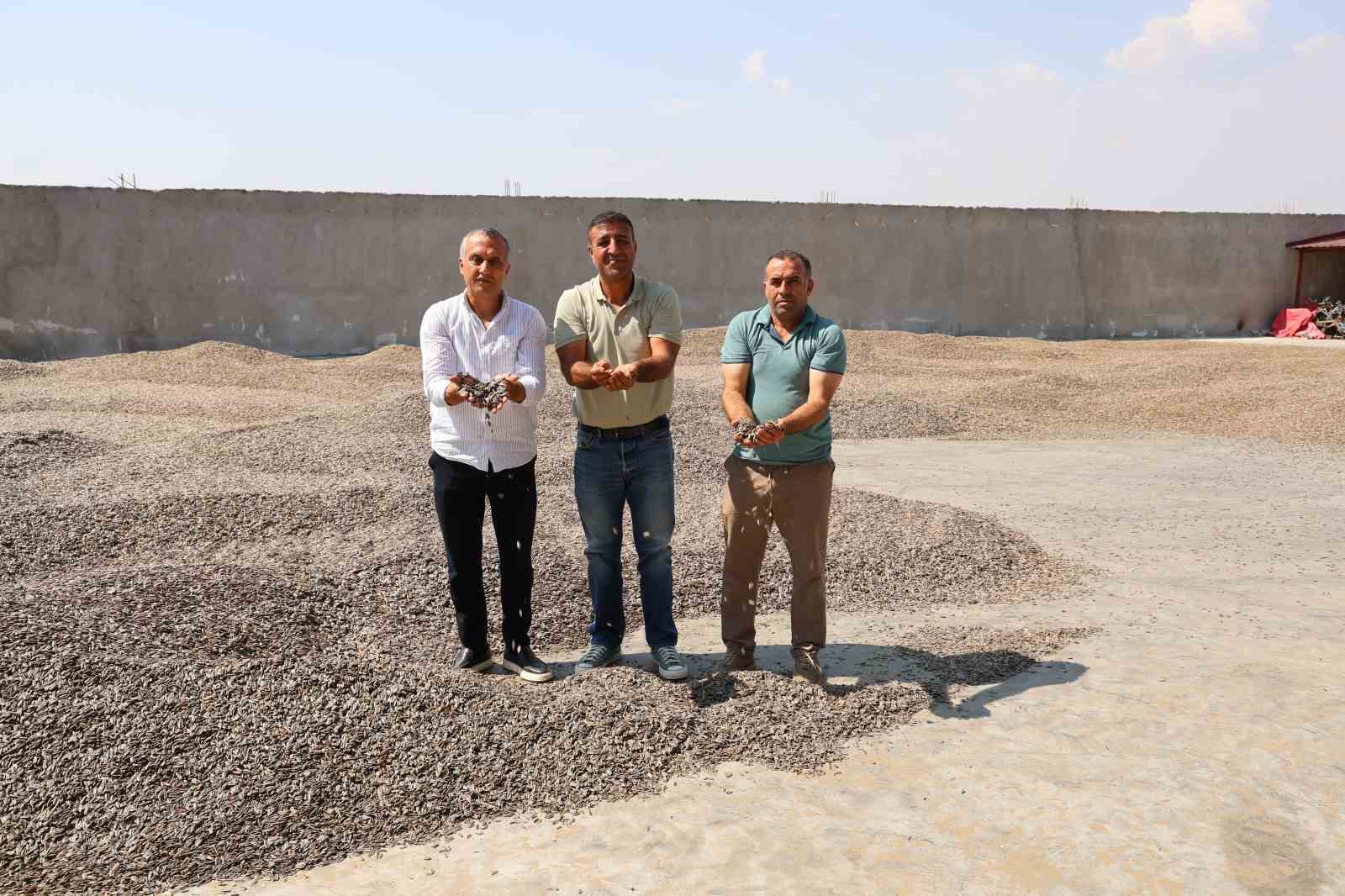 kahramanmaras-ta-ay-cekirdegi-hasadi