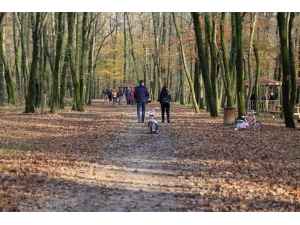 Bir Yılda 47 Kilometre Yol Yapıldı