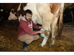 Atanamayan Öğretmen Adayı Çareyi Köyünde Buldu