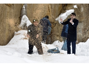 Gümüşhane’de Yaban Hayatı Yemleme Çalışmaları Devam Ediyor