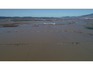 Yağmur Ispanağı Vurdu, Onlarca Dönüm Tarım Arazisi Sular Altında
