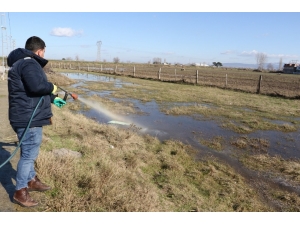 Su Basan Mahalleler Dezenfekte Ediliyor