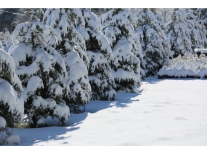 Uşak’ta Kar Yağışı Sonrası Kartpostallık Görüntüler