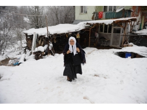 85 Yaşında...okuma Öğrenmek İçin Kar Kış Demiyor Her Gün 2 Kilometre Yürüyor