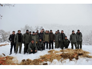 Yaban Hayvanları İçin Doğaya Yem Bırakıldı