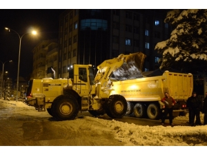 Tonlarca Kar Kamyonlarla Taşındı