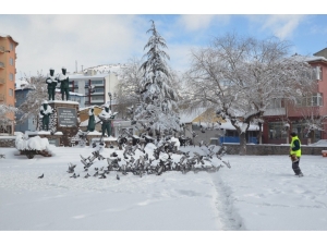 Sokak Hayvanları Unutulmadı