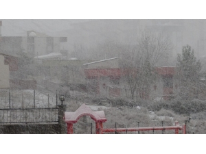 Silvan’da Kar Yağışı Hayatı Olumsuz Etkiliyor