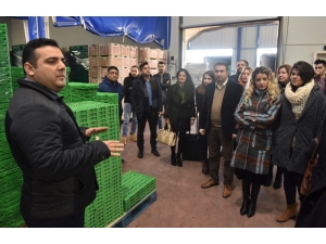 Girişimci Adayları Ipa Desteğiyle Kurulan Projeleri İnceledi