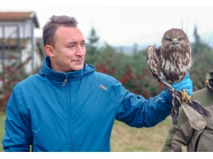 Tedavileri Tamamlanan Şahinler Hürriyete Uçtu