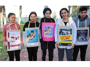 Barınma Merkezindeki Sokak Hayvanlarını Besleyen Öğrenciler Duygusal Anlar Yaşadı