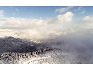 Soğuk Su Milli Parkı Ve Çamkoru Tabiat Parkı’ndan Kartpostallık Görüntü