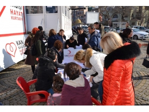 Bandırmalılar Öykü Arin İçin Seferber Oldu