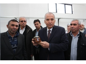 Buldan’da Kestane Şekeri Üretimine Başlandı