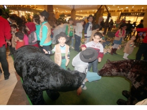 Şanlıurfalı Çocuklar Doğanın Tam Ortasında