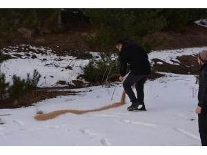 Kümbetli Gençler Yaban Hayvanları İçin Doğaya Yem Bıraktı