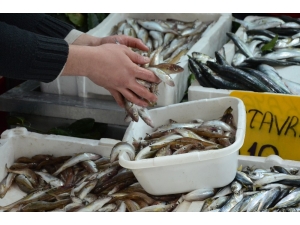 Mezgit Fiyatı Yarıya Düştü, Talep Patladı