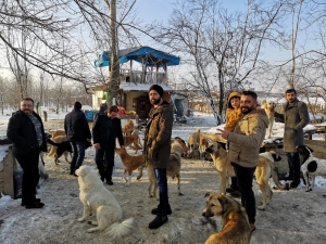 Doğa Tutkunları Sokak Köpeklerini Unutmadı
