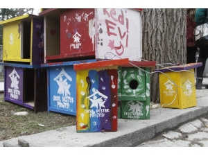 Öğrenciler Sokak Hayvanları İçin Barınak Yaptı