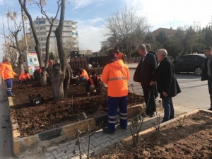 Kilis’te Lale Devri