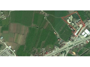 Samsun’da Sağlık Yatırımlarında Son Durum