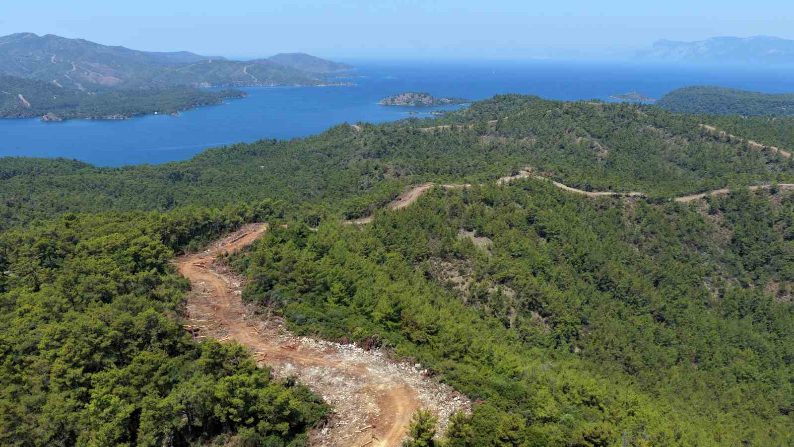 mugla-ve-aydin-da-orman-yangin-serit-yolu-uzunlugu-2-bin-kilometreye-cikiyor
