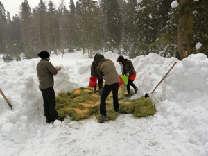 Kar Kalınlığının 1 Metreyi Geçtiği Bölgelere Yem Bıraktılar