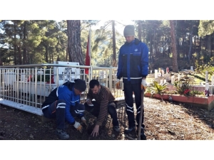 Büyükşehir “Bir Dikili Fidanım Olsun” Diyor