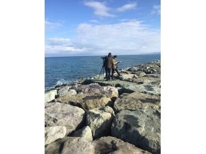 Rize’de Su Kuşları Sayımı Yapıldı