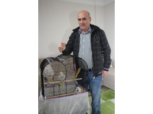 Ağaçta Mahsur Kalan Papağan Ekipleri Seferber Etti