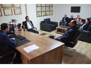 Gökçe, Gezilerini Sürdürüyor