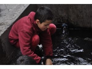 Bu Mahallenin Altı Su Kaynıyor