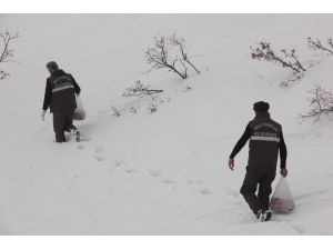 Bingöl’de Yaban Hayvanları İçin Doğaya Yem Bırakıldı