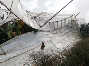 Anamur’da Fırtına Ve Hortum Seraları Vurdu