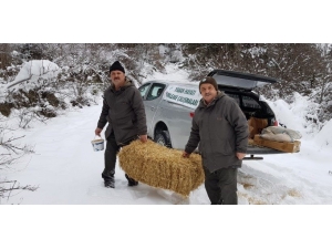 Doğa Koruma Ve Milli Parklar Doğal Hayata Yiyecek Bıraktı