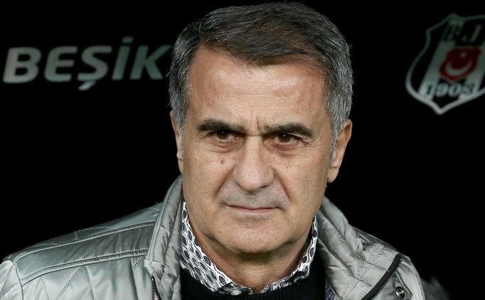 Şenol Güneş: "ayrılık Olabilir, Gayet Normal"