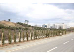 Bilişim Vadisi Yeşilleniyor