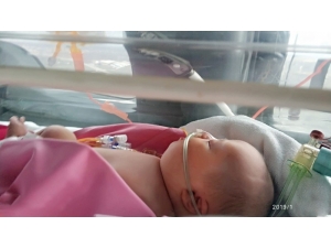 Giresunlu Bebek Kaygusuz Kayseri Şehir Hastanesinde Tedavi Oldu