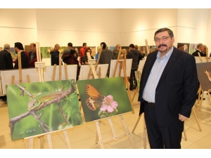 Deltadan Objektiflere Yansıyanlar