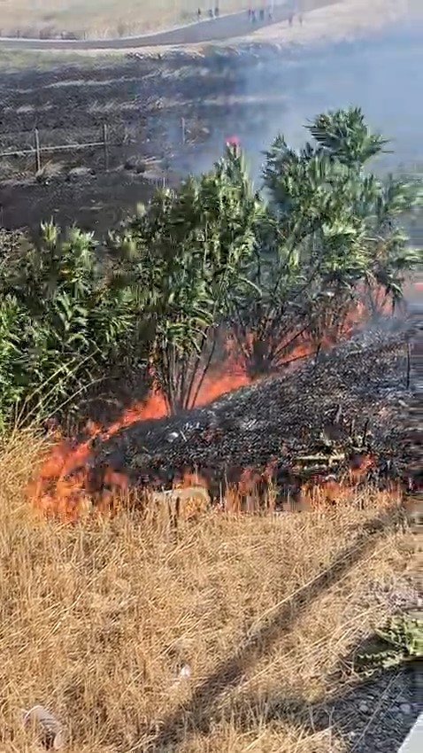 otoban-kenarinda-cikan-yangin-sonduruldu
