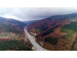 1 Yılda 2 Milyona Yakın Fidan Toprakla Buluştu