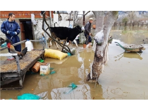 İtfaiyeden Koyun-keçi Kurtarma Operasyonu