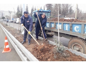 Belediyeden Refüj Çalışması