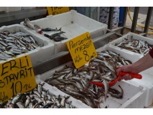 Karadeniz’de Mezgit Bolluğu