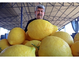 Hortum, Sebze Üretimini Yüzde 10 Oranında Düşürdü