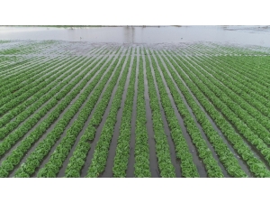 Mersin’de Şiddetli Yağış, Dolu Ve Fırtınanın Zararı 61 Milyon Lira